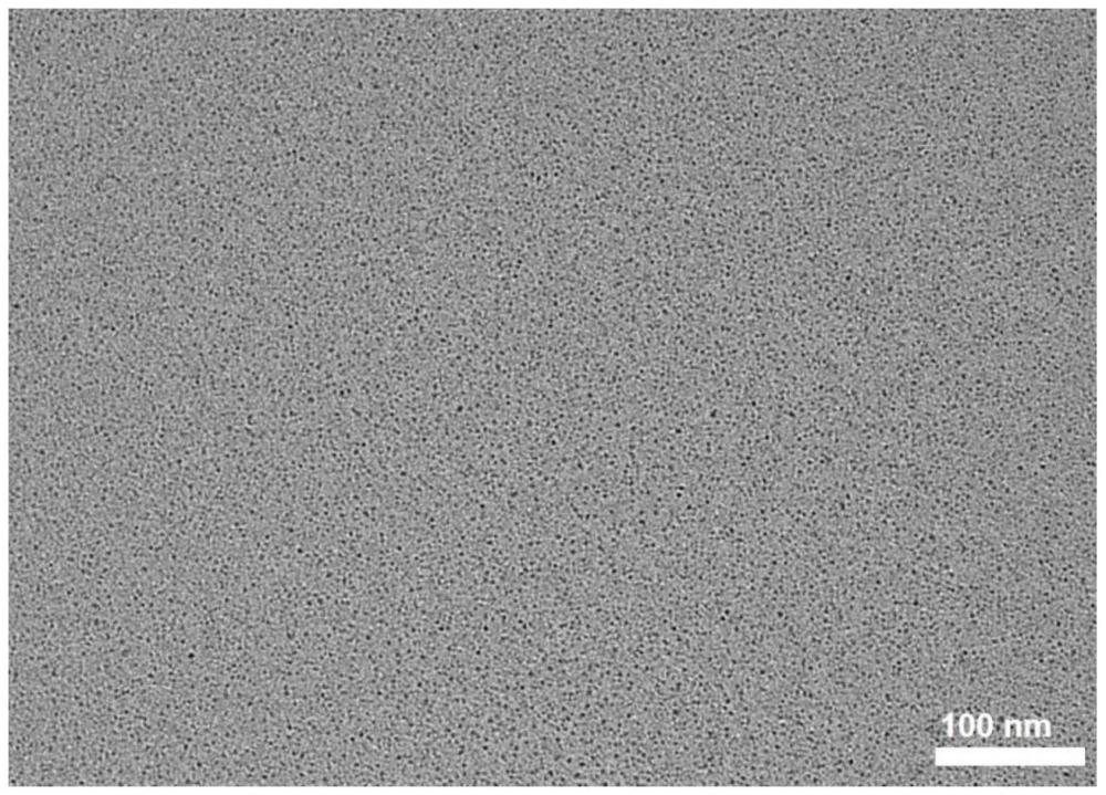 一种硫掺杂荧光碲量子点及其制备方法