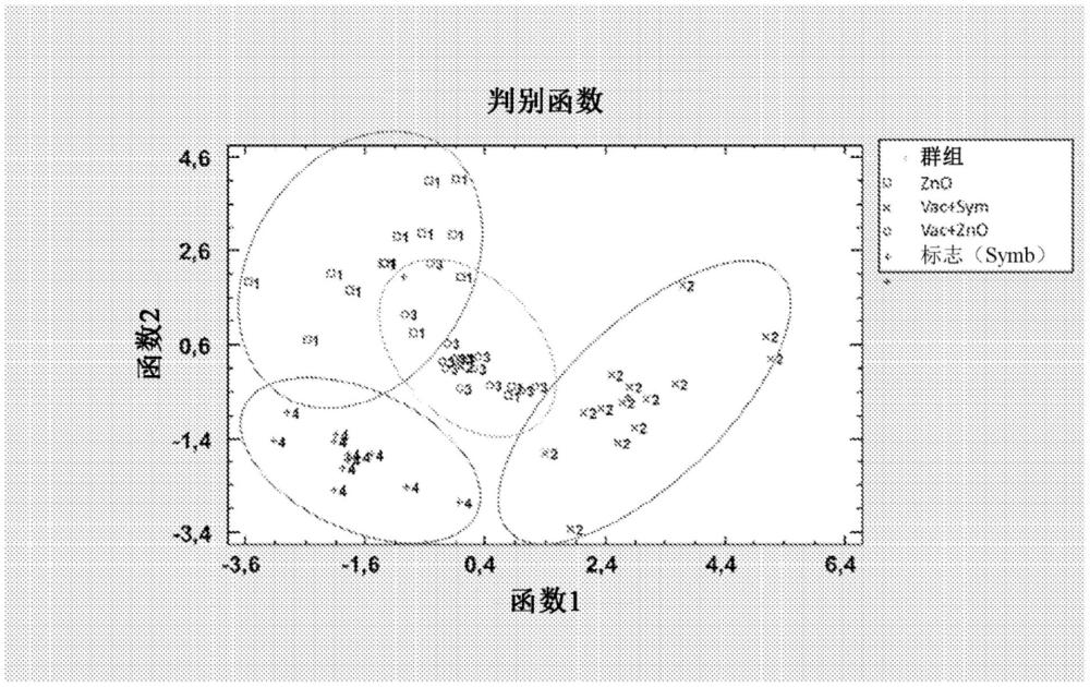 將F4/F18疫苗與β-甘露聚糖酶和/或益生菌組合用于治療和預防豬的腸毒性大腸桿菌（ETEC）的方法、組合物和食物添加劑與流程