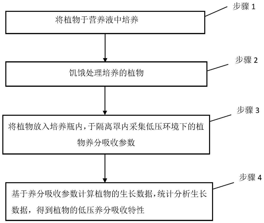 一种低压环境中植物养分吸收特性测定方法与流程