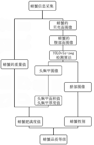 一种基于机器视觉的螃蟹品质分级方法及系统