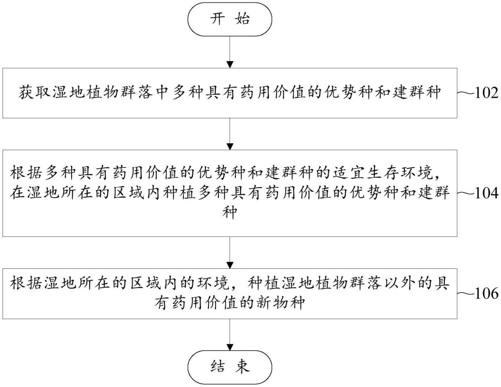 一种湿地植物群落质量提升的改造方法与流程