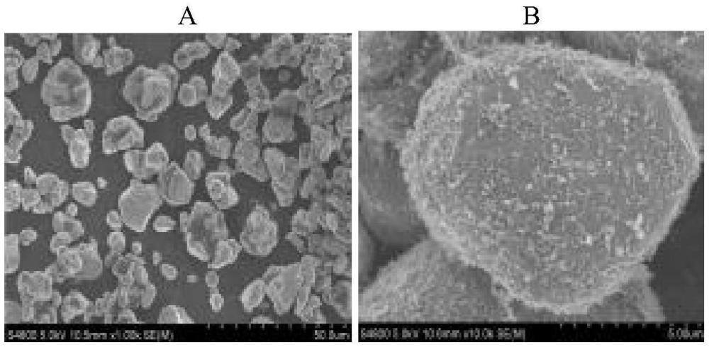 一种干法制膜过程中纤维化程度的监控方法与流程