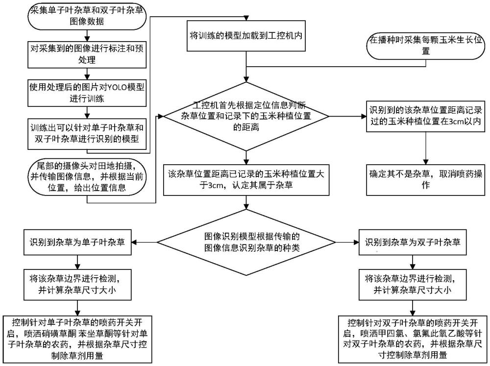 一种针对玉米地杂草的精准定位喷药装置及其方法