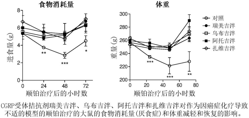 用CGRP受体拮抗剂治疗内感受障碍的制作方法