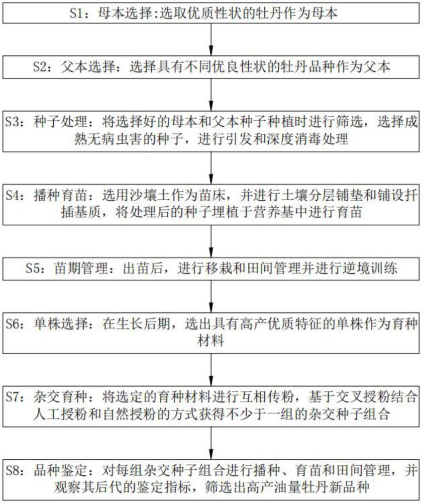 一种高产油量牡丹新品种育种方法