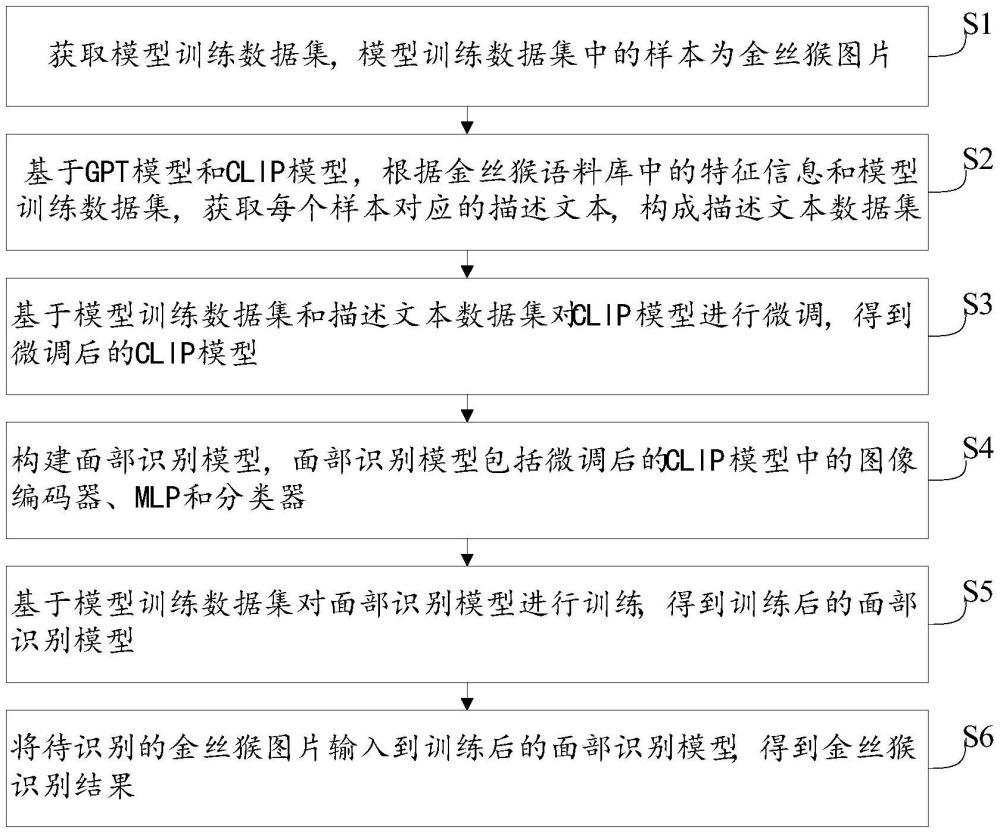 基于视觉语言模型的金丝猴面部识别方法