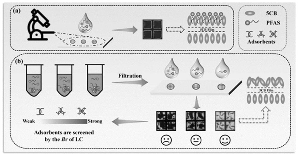 一种基于液晶平台快速可视化筛选全氟和多氟烷基化合物吸附剂的方法
