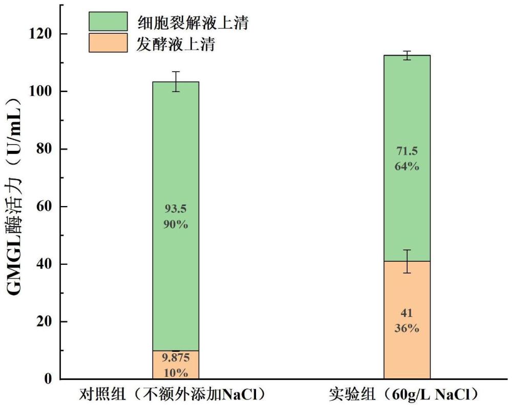 重组需钠弧菌及促进外源蛋白分泌表达的方法