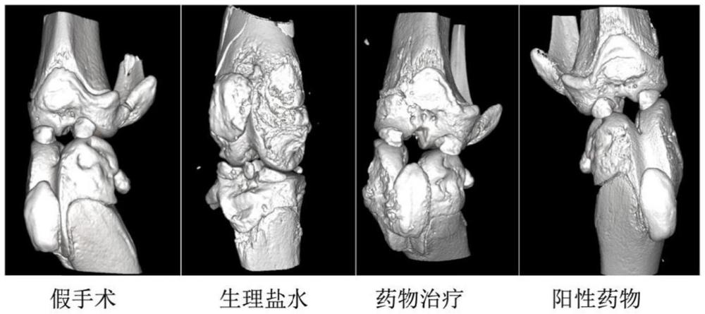 舒筋活络通脉愈瘫的藏药组合药物、其制备方法和应用与流程