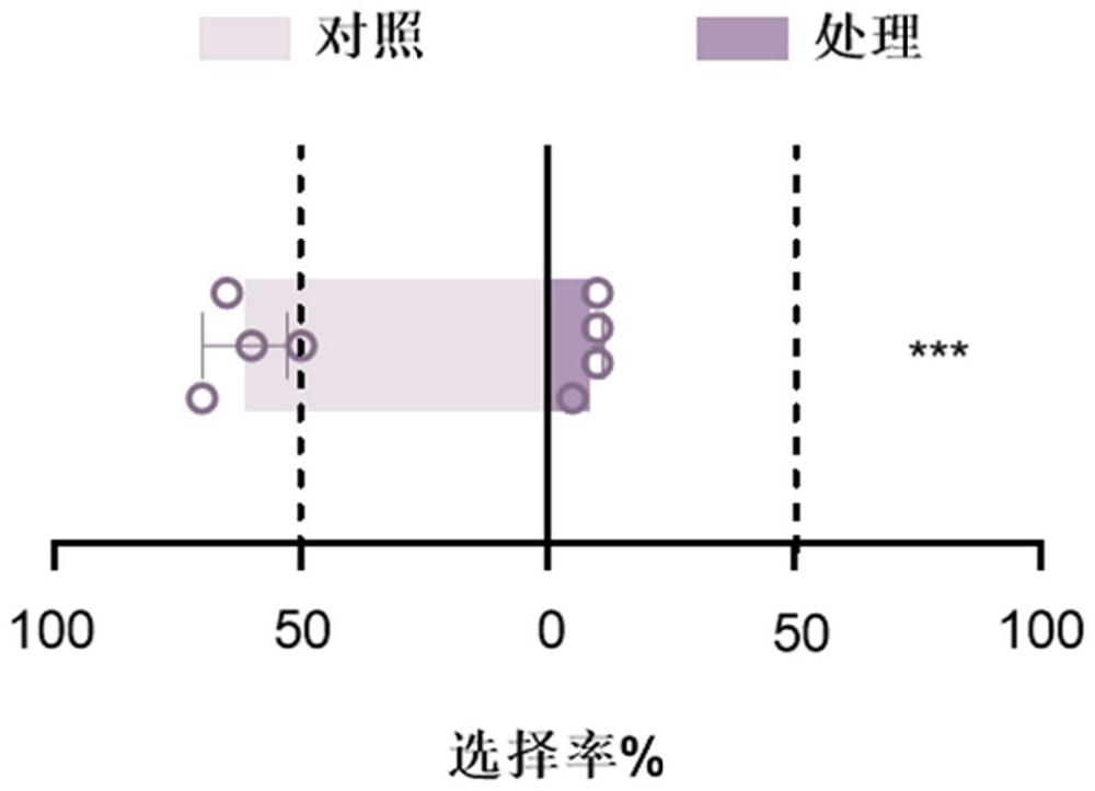 一种白背飞虱的驱避剂及其应用