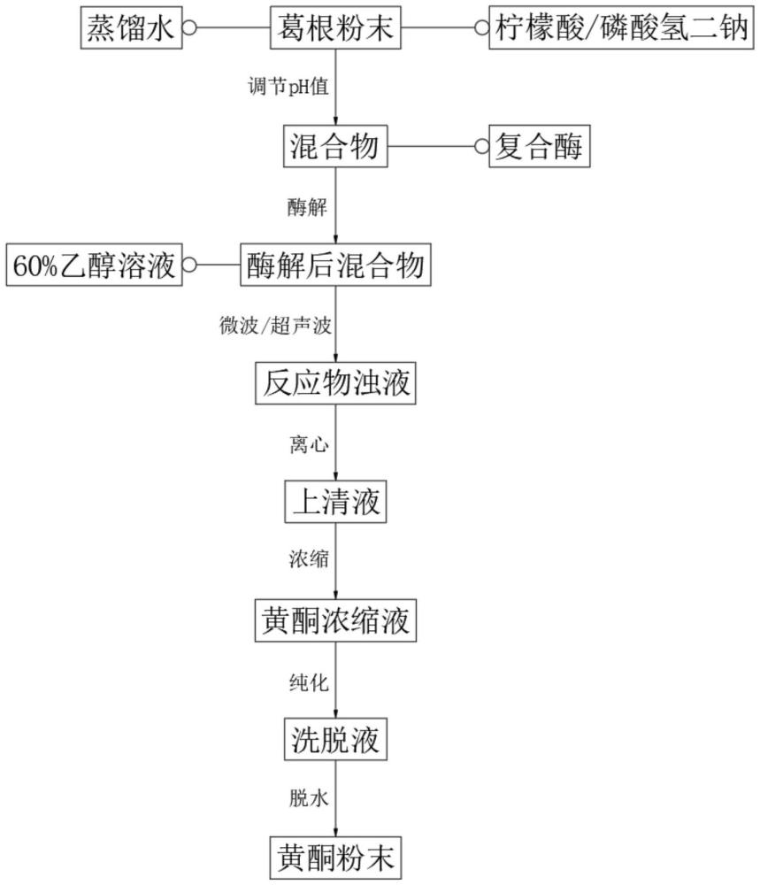 一種葛根黃酮提取工藝及專用反應(yīng)器