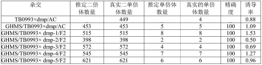 基于花青素形态标记鉴定番茄单倍体诱导系诱导效率以及筛选单倍体的方法