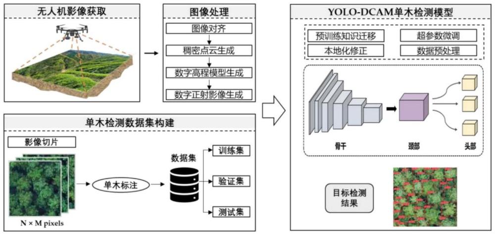 一种适用于复杂森林环境的无人机可见光影像单木检测方法与流程