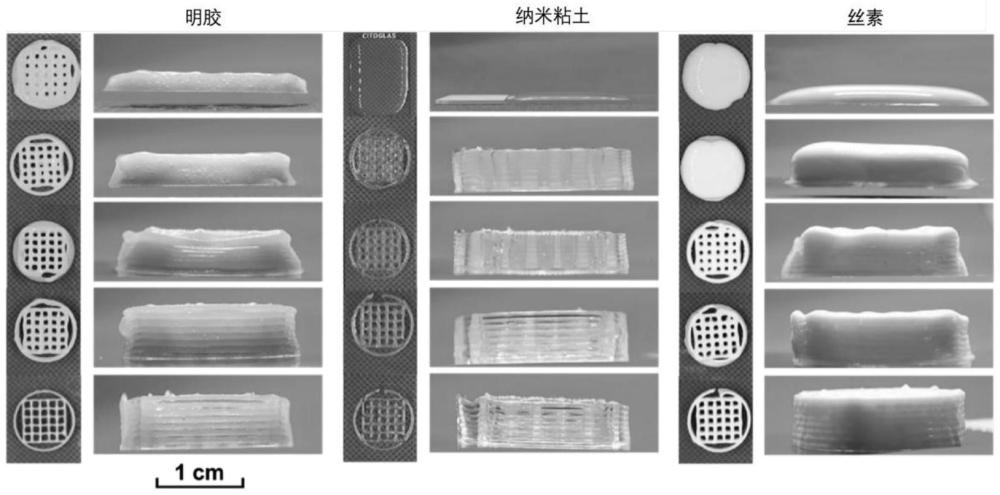 一种可逆交联自愈合3D打印墨水的成型性评价方法