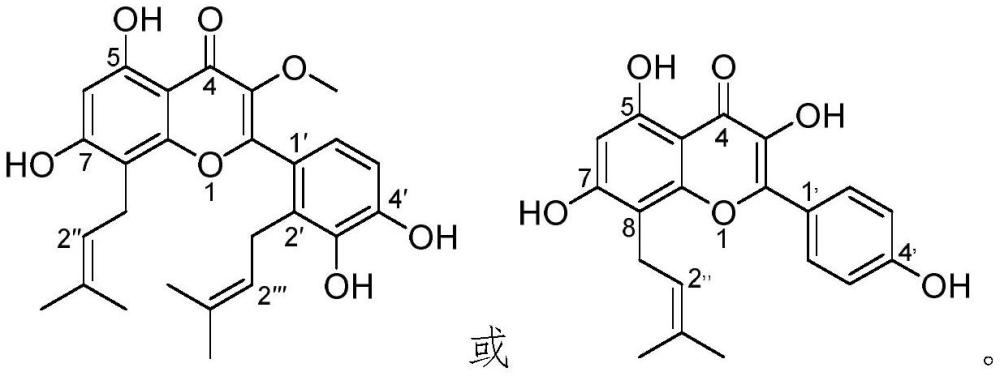 一种黄酮类化合物及其制备方法与应用与流程