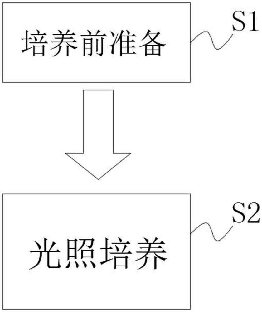 一種加快馬鈴薯組織幼苗塊莖膨大的光環(huán)境培養(yǎng)調(diào)控方法