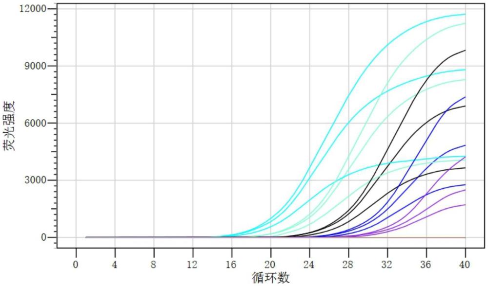 一種非洲豬瘟三重?zé)晒舛縋CR檢測(cè)試劑盒的制作方法