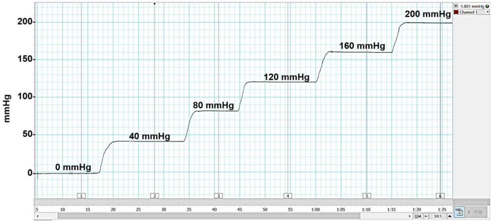 一种用于心血管基础和药物筛查的应用模型及构建方法