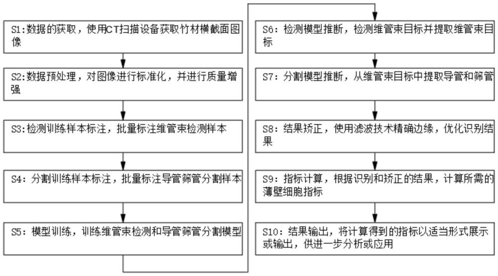 一种导管筛管识别分析方法及其系统与流程