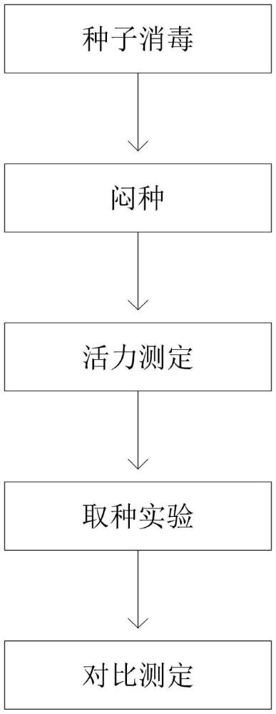 一种闷种处理测定水稻种子活力的方法