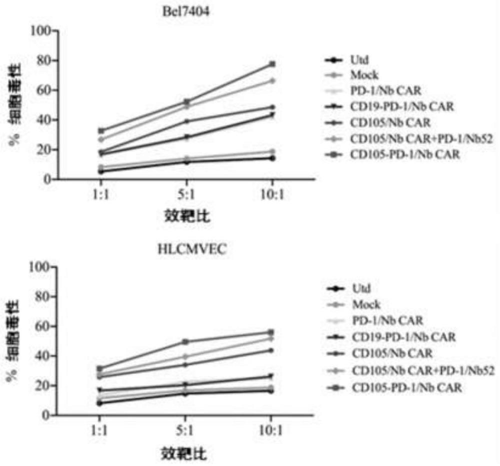 一种分泌PD-1单域抗体靶向CD105的CAR-T细胞及其制备方法和应用