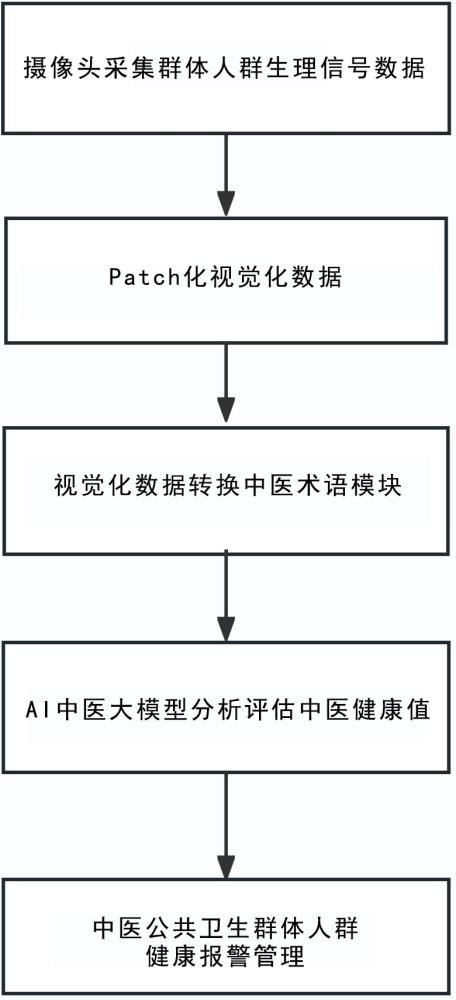 基于AI大模型的Patch化視覺化中醫(yī)公共衛(wèi)生健康監(jiān)測系統(tǒng)的制作方法