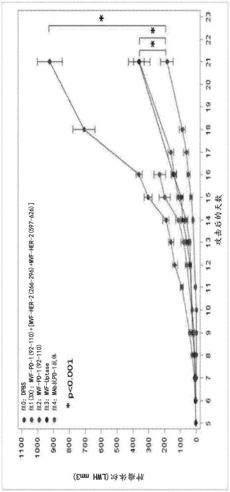 一種分離的肽的制作方法