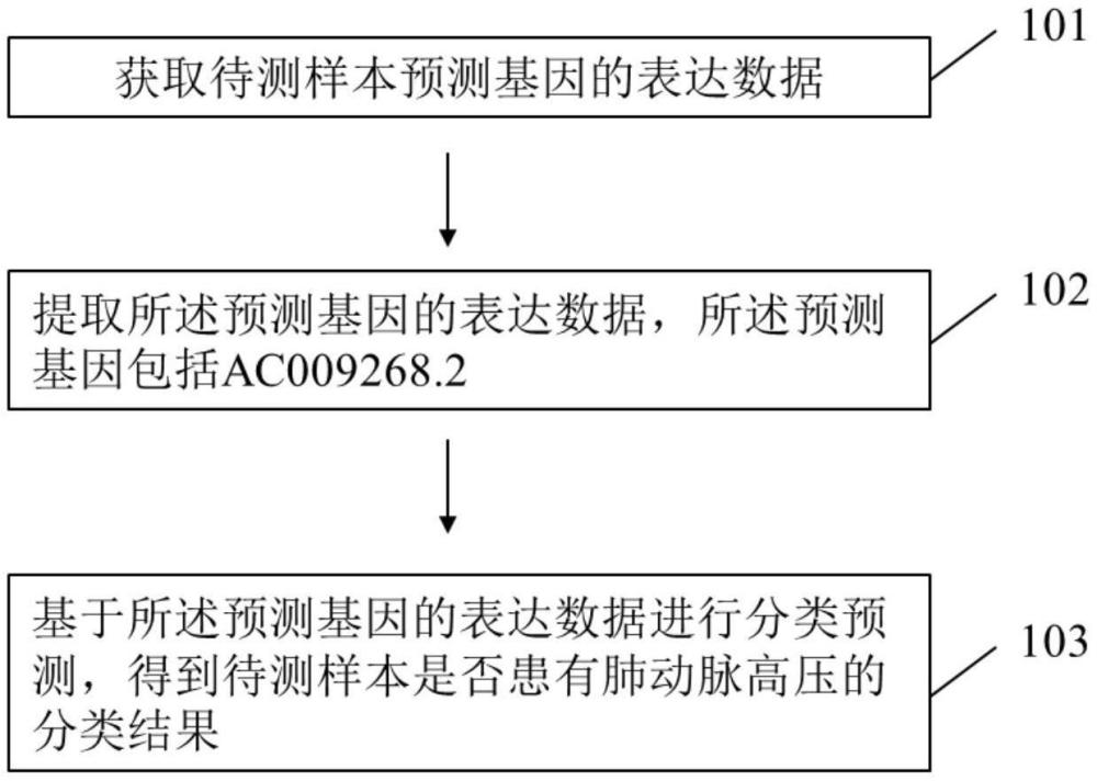 一种肺动脉高压预测方法、系统与流程