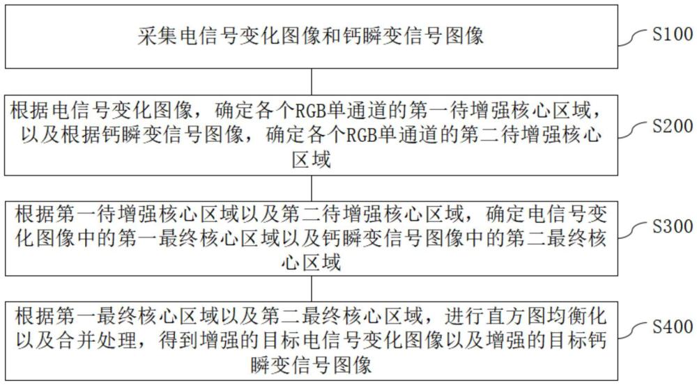 基于光標(biāo)測的心臟電生理成像增強方法及系統(tǒng)與流程