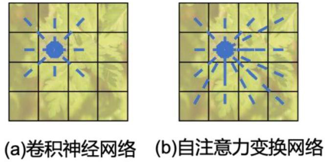 具有密集感受野的自注意力轉(zhuǎn)換網(wǎng)絡(luò)的偽裝目標(biāo)檢測(cè)方法