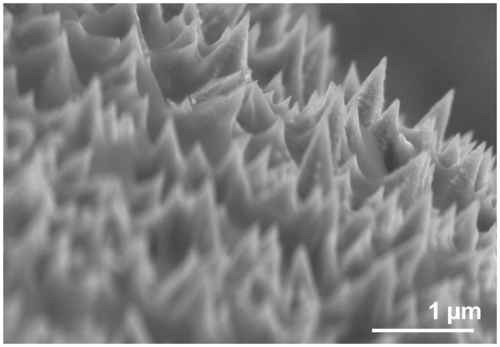 一种电催化分解水产氧的高曲率纳米阵列电极的制备方法