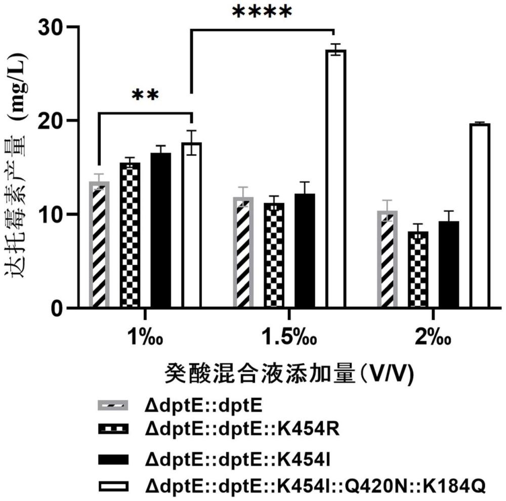 高癸酸耐受性的達(dá)托霉素高產(chǎn)工程菌株及其構(gòu)建和應(yīng)用