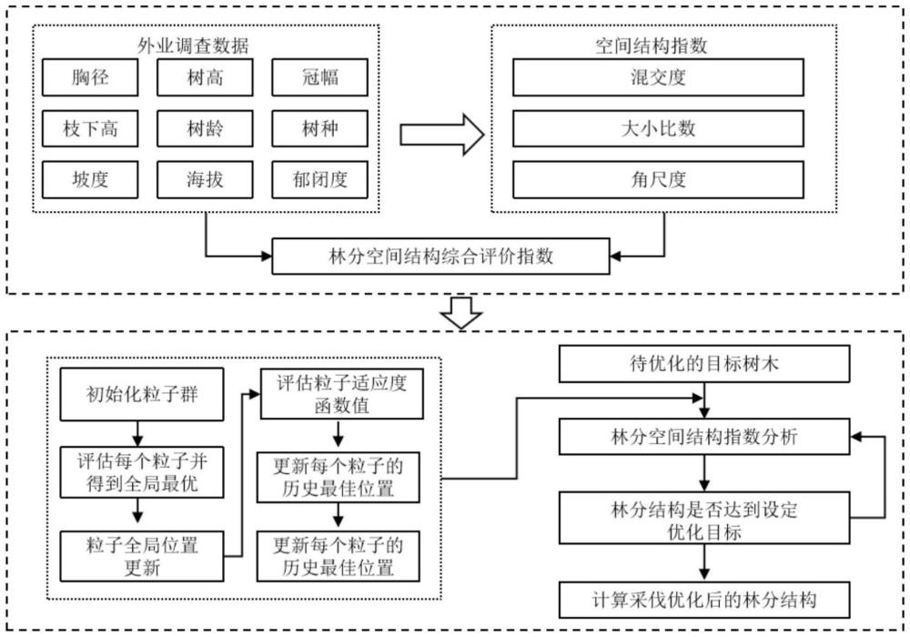 一種考慮鄰域指數(shù)與粒子群算法的林分空間結(jié)構(gòu)優(yōu)化方法與流程