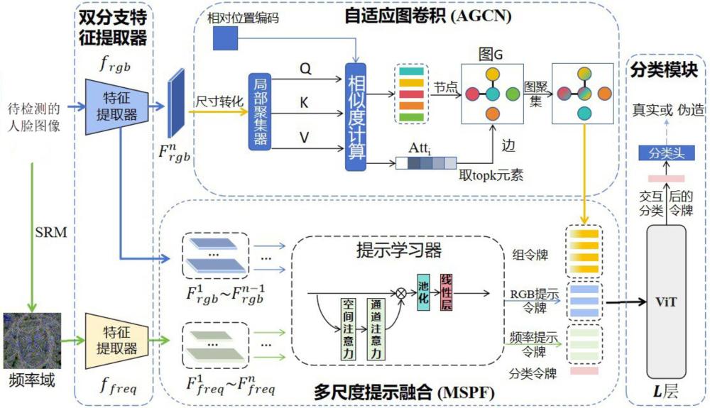 基于圖卷積與多尺度提示融合的深度偽造檢測(cè)方法及系統(tǒng)