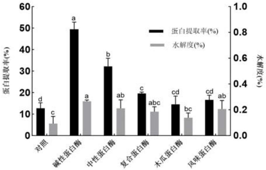 酶解法结合乳酸菌发酵法制备澳洲坚果抗氧化肽的方法、澳洲坚果抗氧化肽及其应用