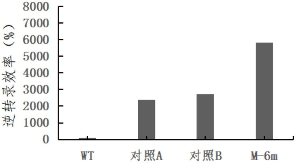 一種突變重組逆轉(zhuǎn)錄酶、其制備方法及應用