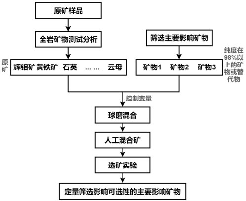 一種針對礦石可選性主要影響礦物的定量篩選方法與流程