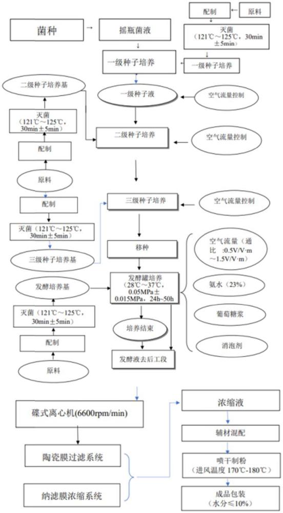 一種用于青貯黃貯的復(fù)合菌酶飼料添加劑及其應(yīng)用的制作方法