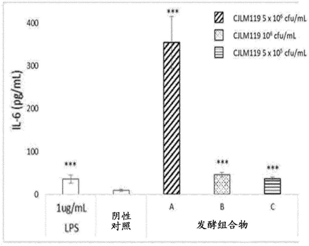 腸膜樣明串珠菌CJLM119菌株及含有其培養(yǎng)物的食物發(fā)酵組合物的制作方法