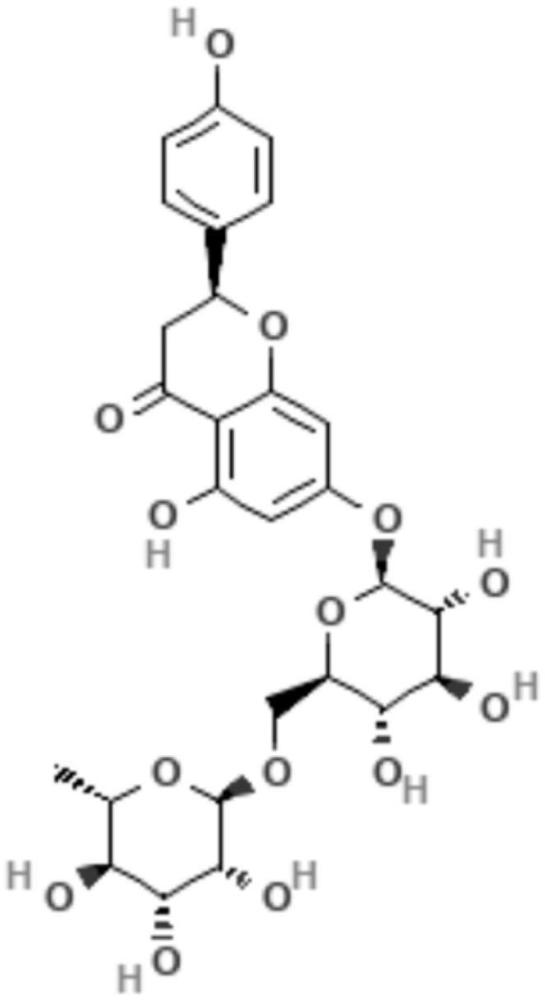 柚皮苷作为GIMAP7激动剂在RSV感染中的治疗方法