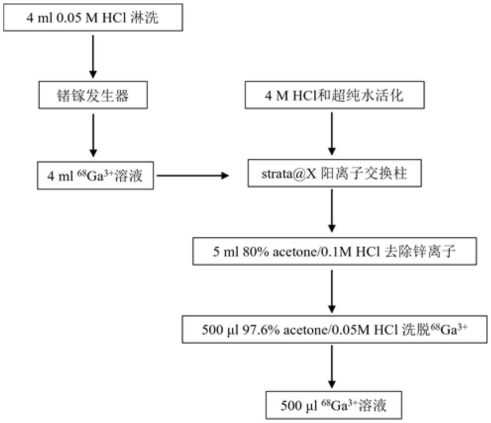 一种68Ga的浓缩方法及其在DNA单链标记方面的应用