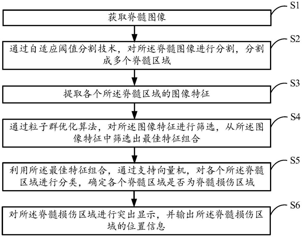 一種基于圖像處理的脊髓損傷點(diǎn)定位方法及系統(tǒng)與流程