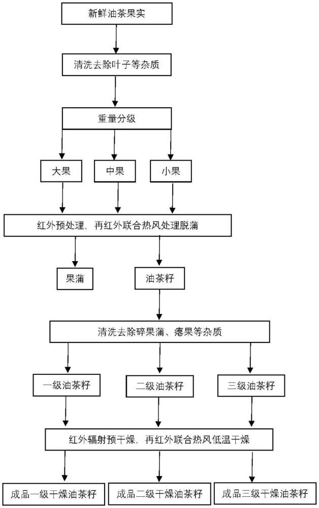 一種油茶鮮果脫蒲干燥方法及其裝置與流程