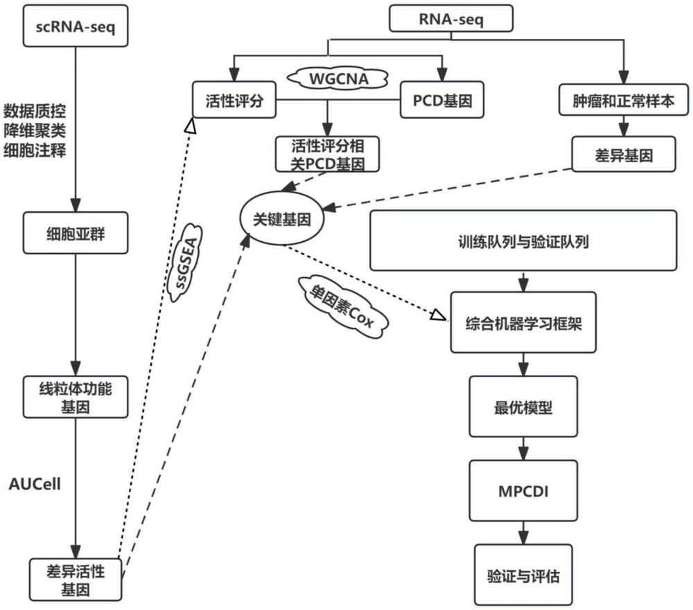 一种基于细胞死亡模式的癌症分型方法