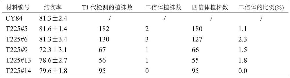 一種C2H6基因在誘導(dǎo)無(wú)融合生殖中的方法及其在植物育種中的應(yīng)用與流程