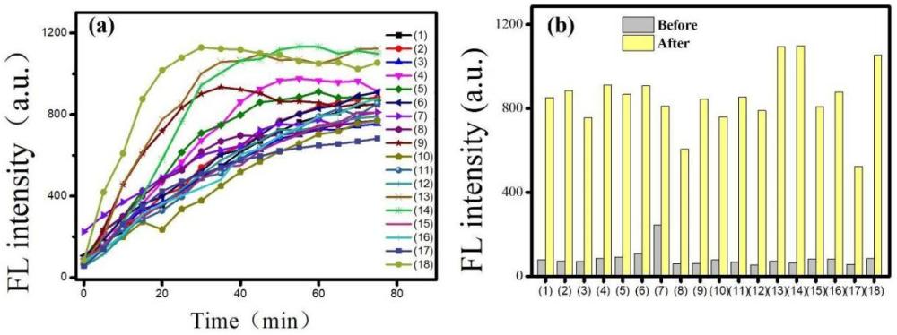 一种具有大斯托克斯位移的光控一氧化氮供体、其制备及应用