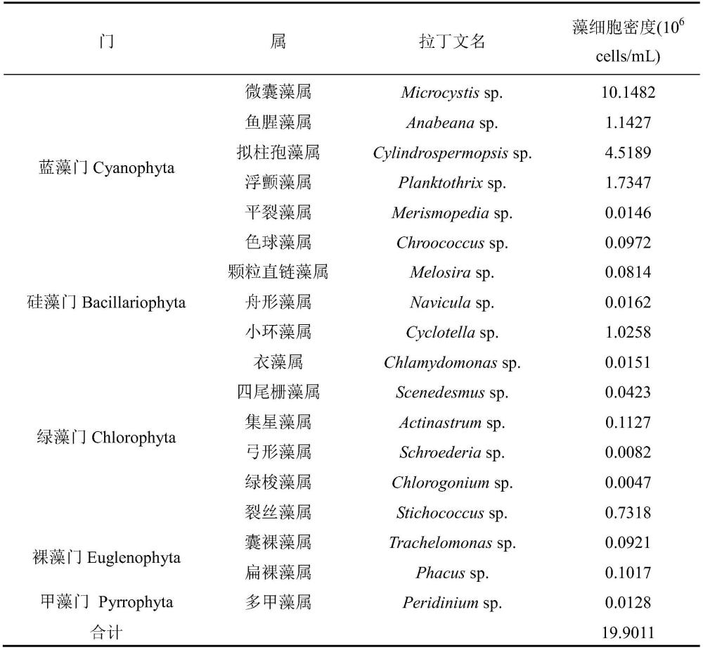 一种紫外光原位强化酶促芬顿反应体系处理有害藻华水体的方法