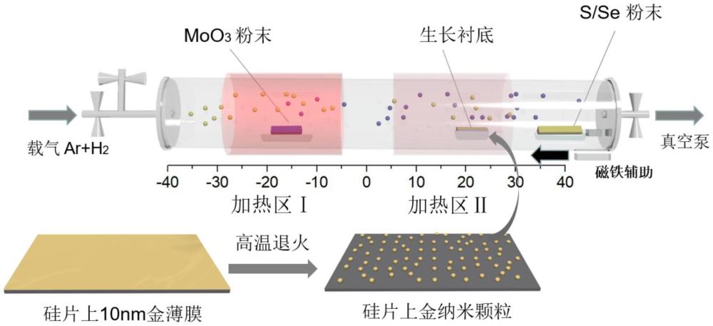 過渡金屬硫族化合物納米管一步生長(zhǎng)和結(jié)構(gòu)可控的方法