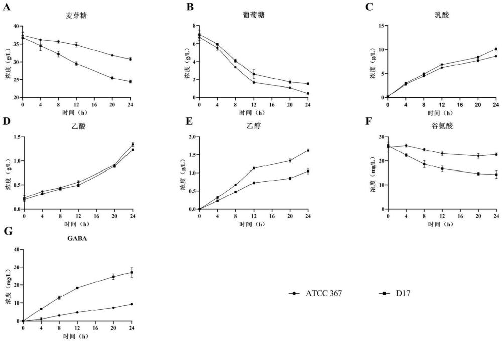 一種利用具有調(diào)節(jié)腸道菌群能力的高產(chǎn)GABA短乳桿菌菌株在生產(chǎn)植物基發(fā)酵乳中的應用