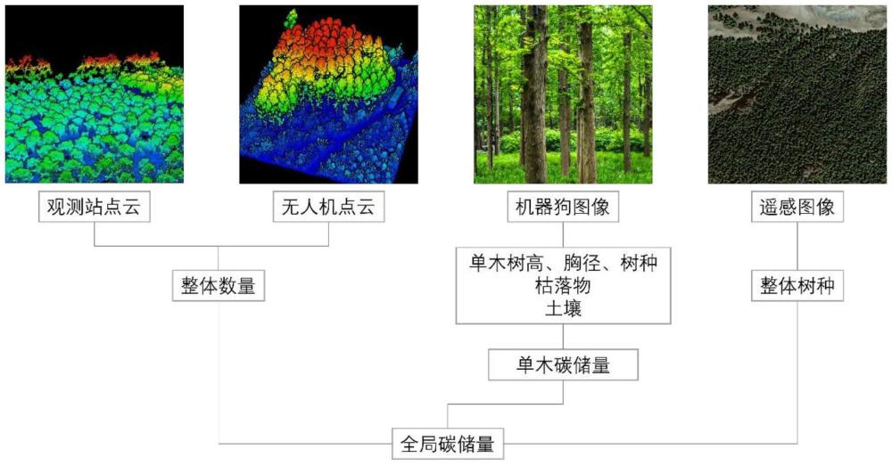 一種基于零樣本學(xué)習(xí)的人造林碳匯估算方法和系統(tǒng)與流程